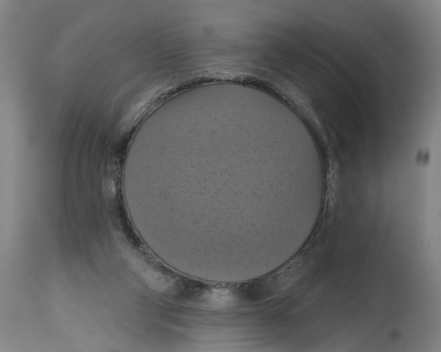 X0000114720114200911121741