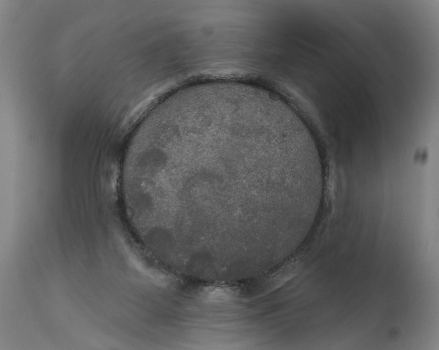 X0000114720115200911121741