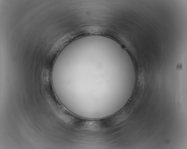 X0000114720117200911121741