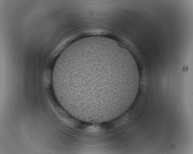 X0000114720119200911121741