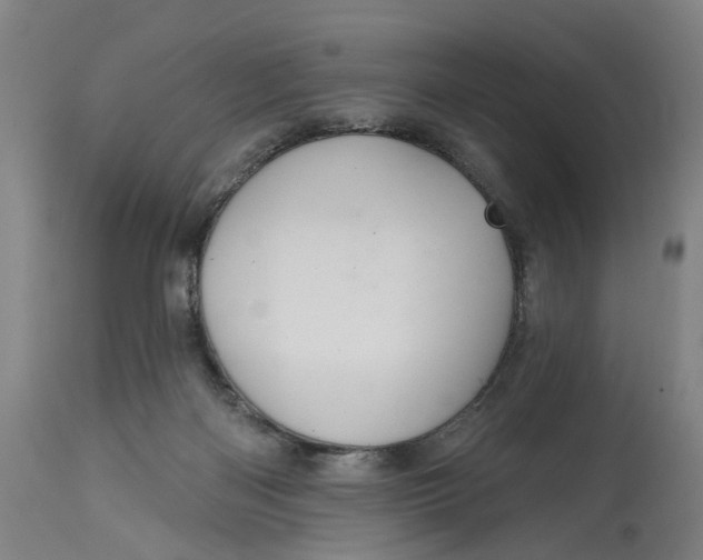 X0000114720122200911121741