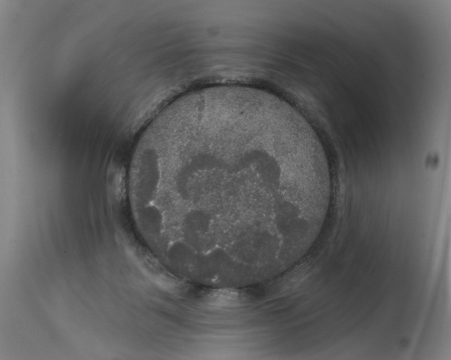 X0000114720123200911121741