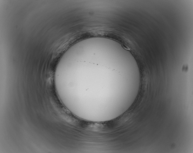 X0000114720125200911121741