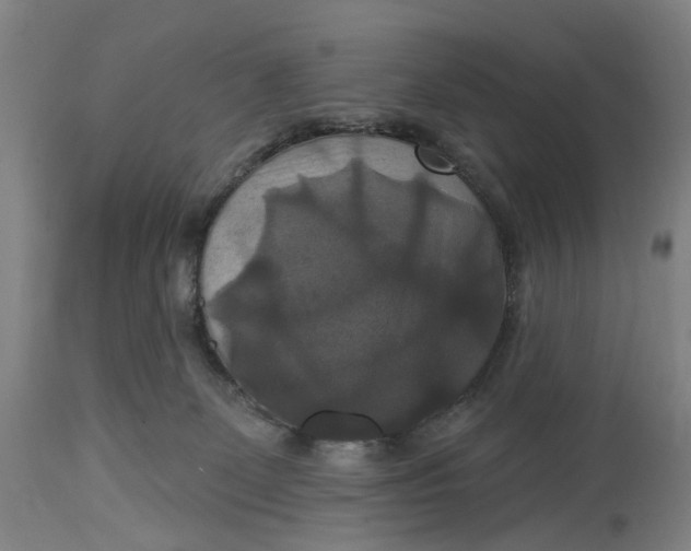 X0000114720131200911121741