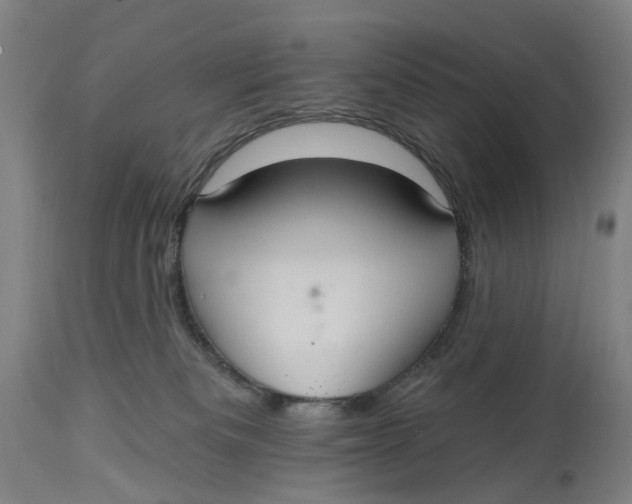 X0000114720133200911121741