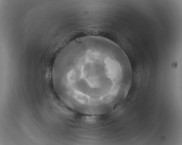 X0000114720134200911121741