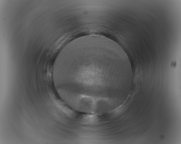 X0000114720140200911121741