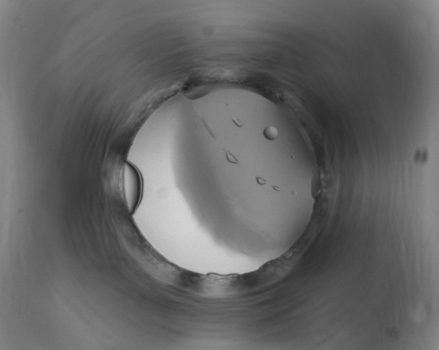 X0000114720143200911121741