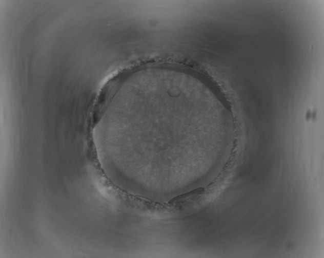 X0000114720144200911121741