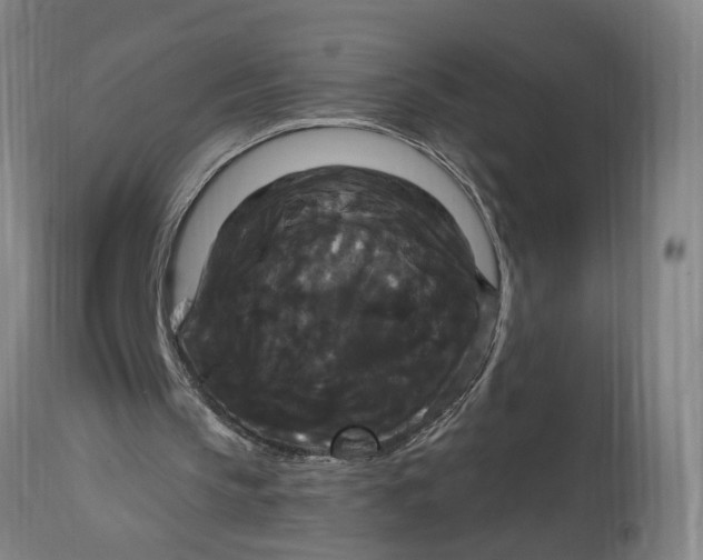 X0000114720145200911121740