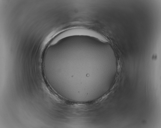 X0000114720150200911121740