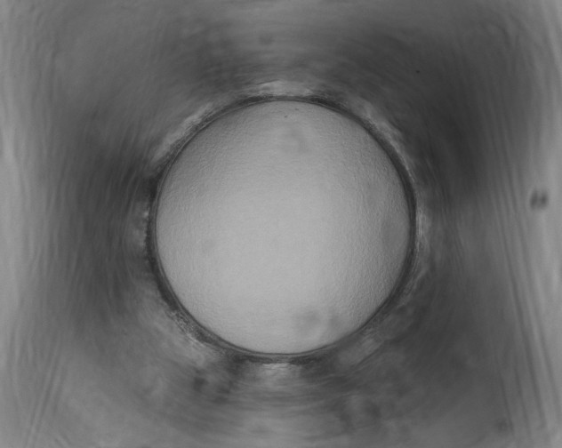 X0000114720153200911121740