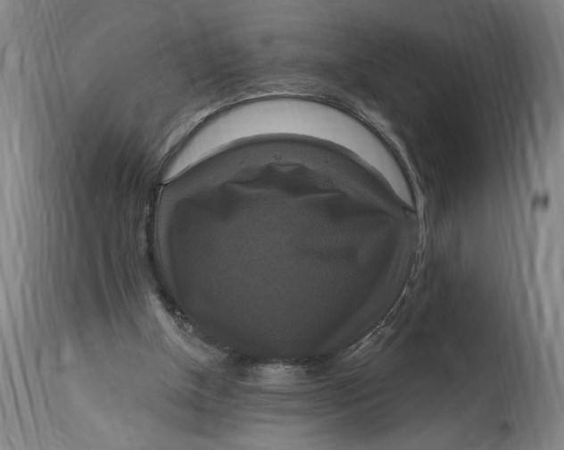 X0000114720154200911121740