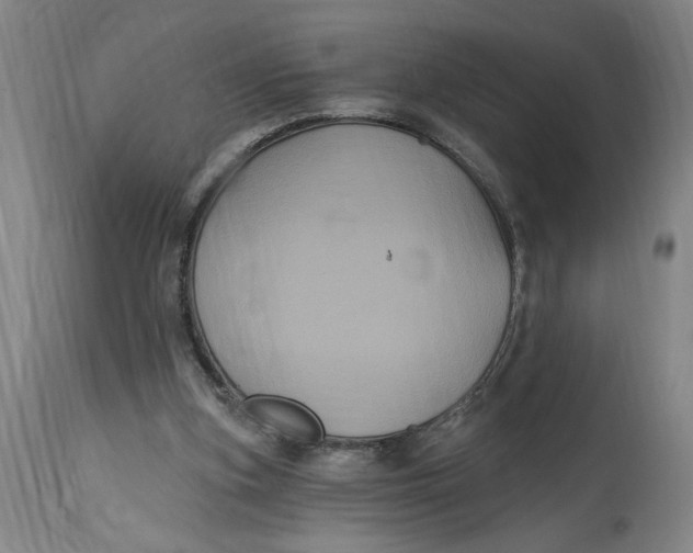 X0000114720155200911121740