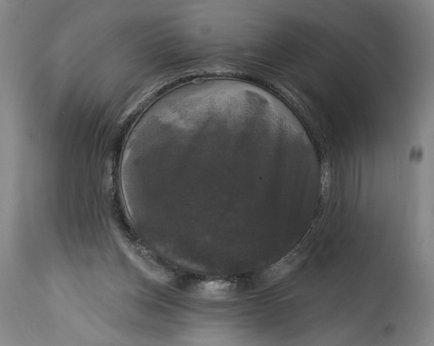 X0000114720158200911121740