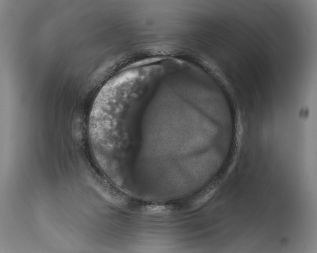 X0000114720161200911121740