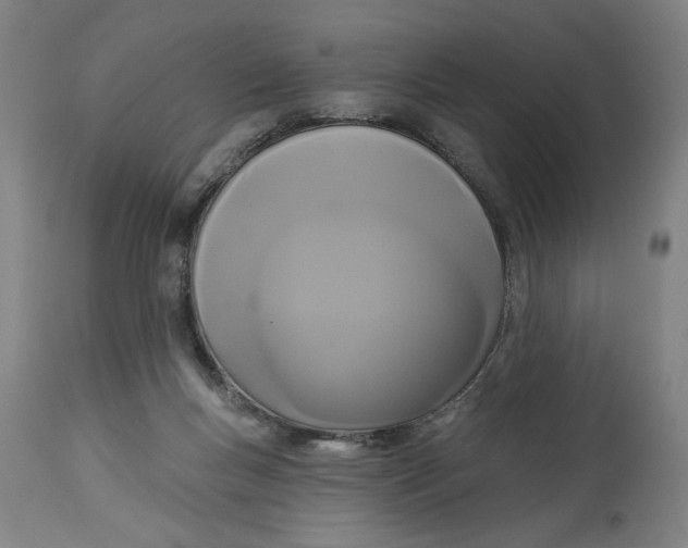 X0000114720167200911121740