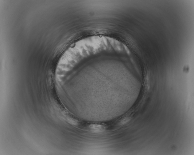 X0000114720169200911121740