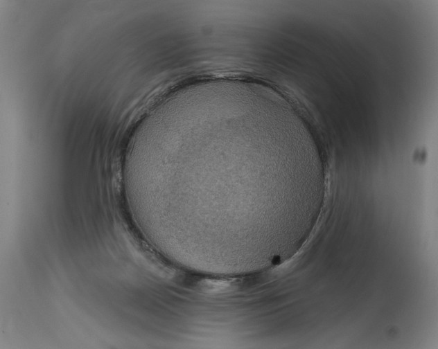 X0000114720170200911121740