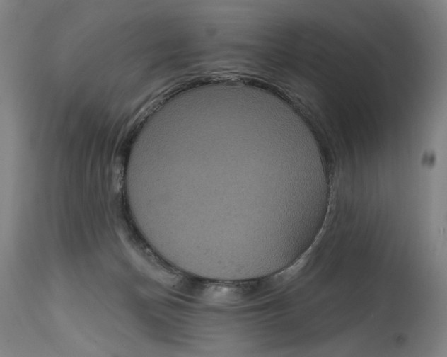 X0000114720174200911121740