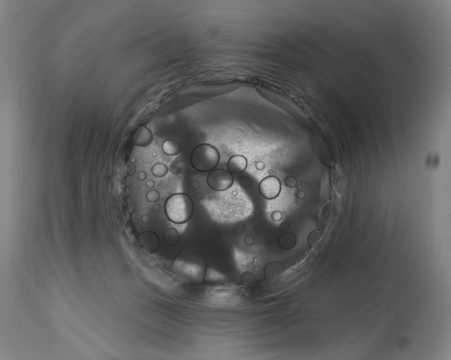 X0000114720175200911121740