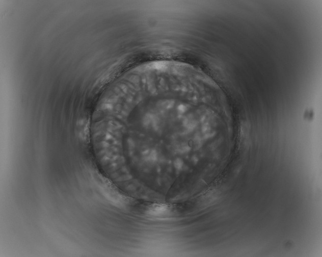 X0000114720177200911121740