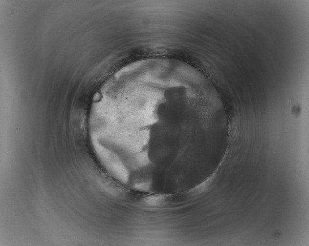 X0000114720178200911121740