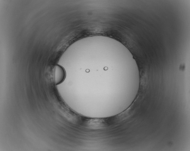 X0000114720179200911121740