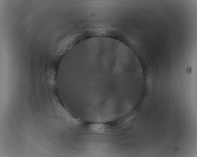 X0000114720181200911121740