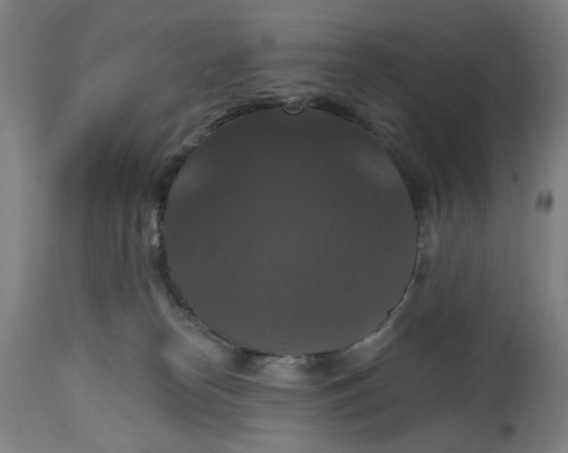 X0000114720182200911121740