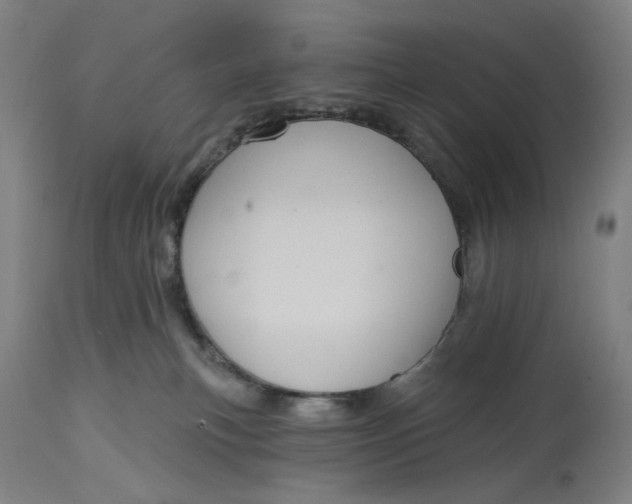 X0000114720183200911121740