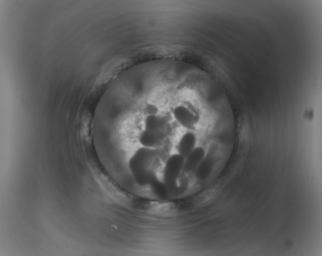 X0000114720185200911121740