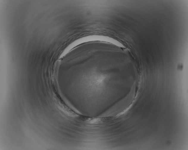 X0000114720186200911121740