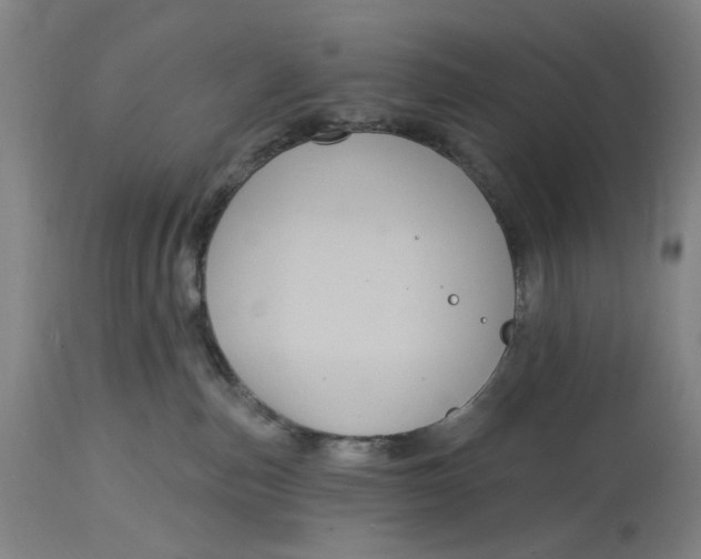 X0000114720187200911121740