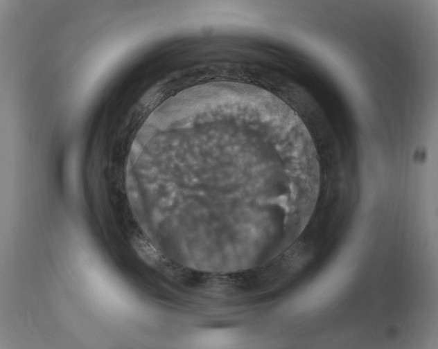 X0000114720189200911121740