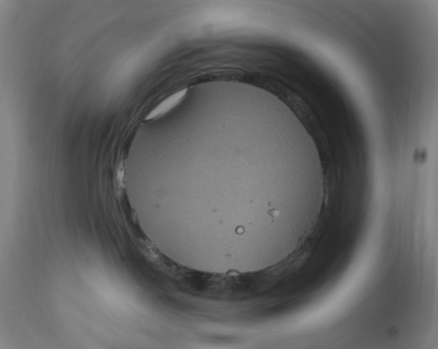 X0000114720190200911121741