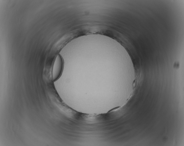 X0000114720191200911121741