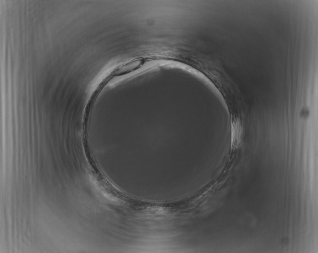 X0000114720195200911121740