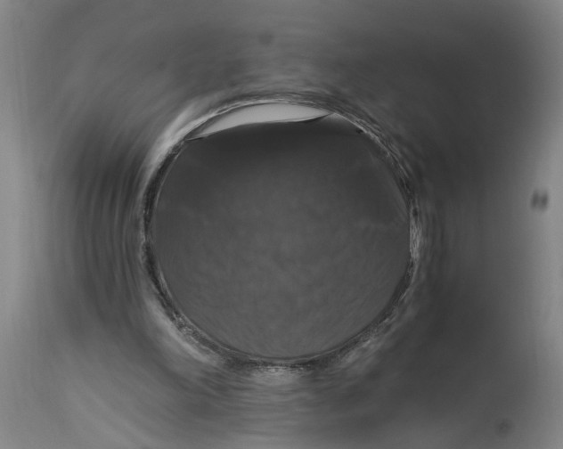 X0000114720198200911121740