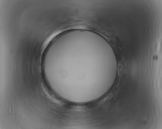 X0000114720200200911121740