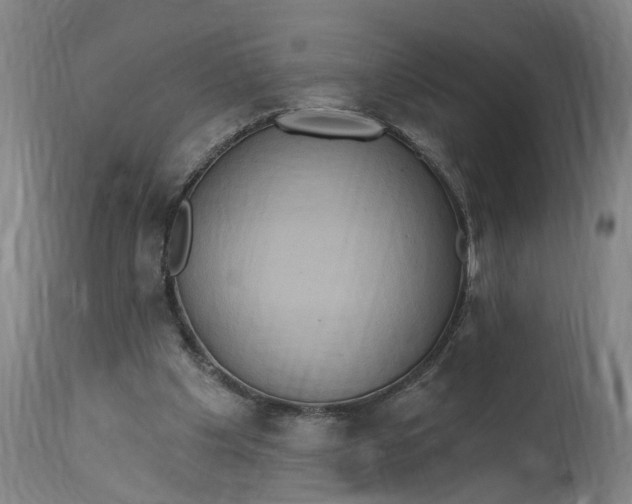 X0000114720201200911121740