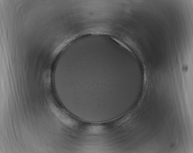 X0000114720202200911121740