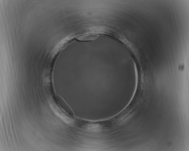 X0000114720203200911121740