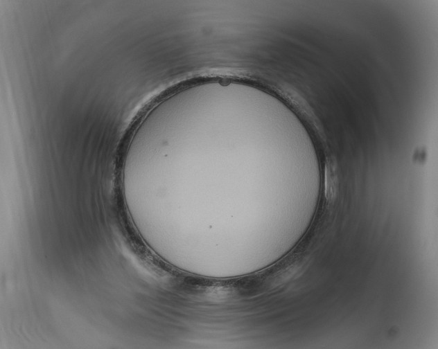 X0000114720204200911121740