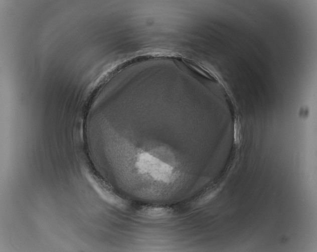 X0000114720205200911121740