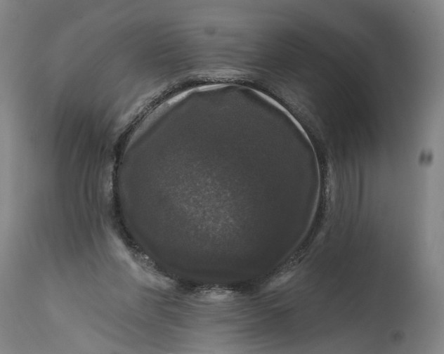 X0000114720206200911121740