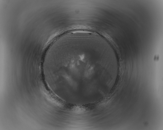 X0000114720207200911121740