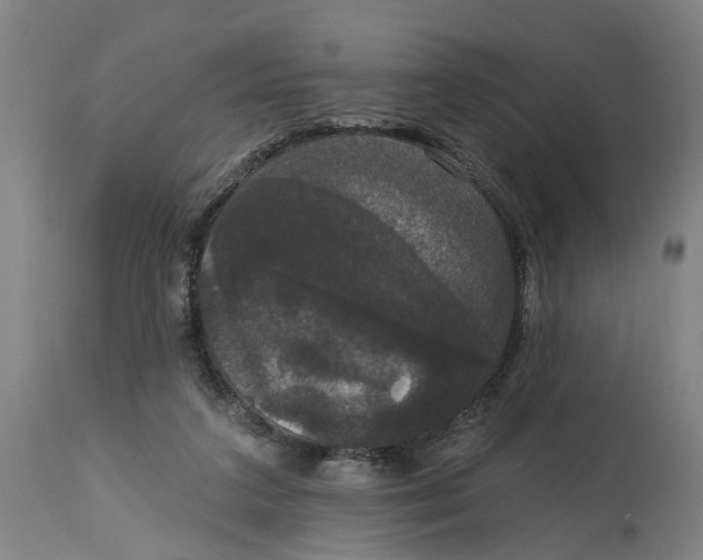 X0000114720211200911121740