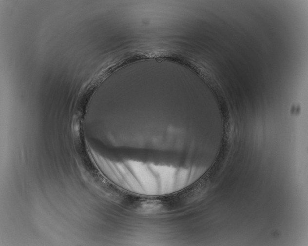 X0000114720214200911121740