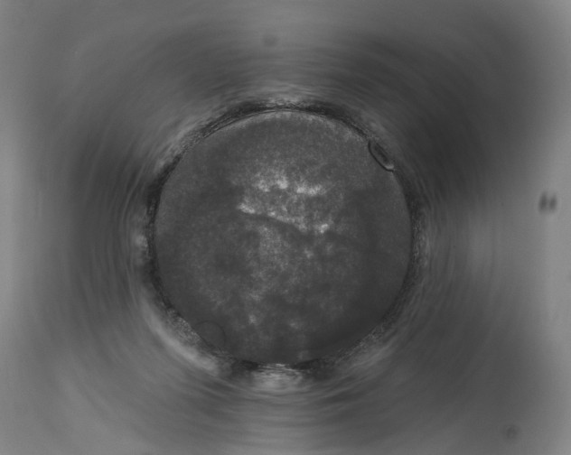 X0000114720215200911121740